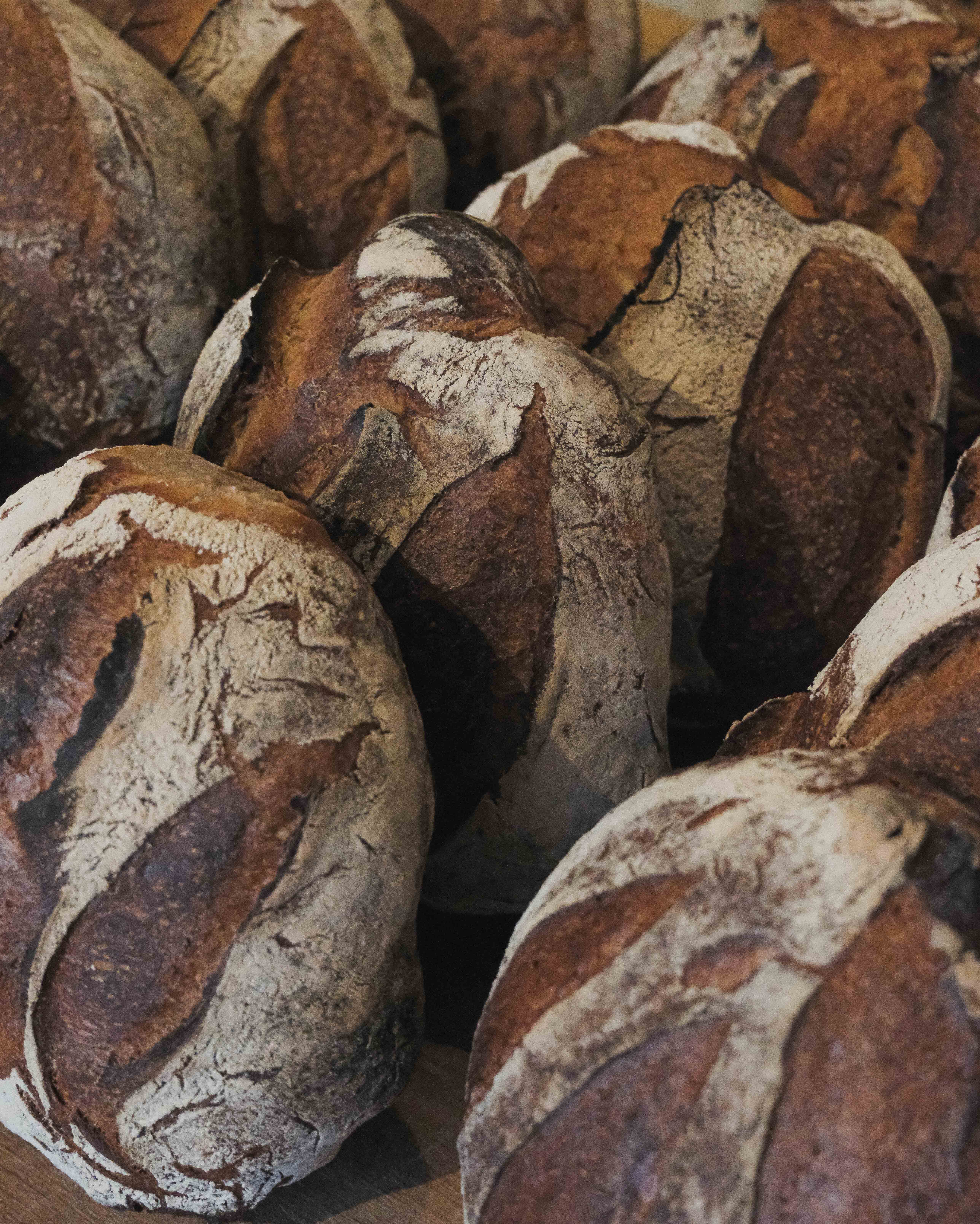 Barthélémy de Mazenod | Boulangerie Secousse