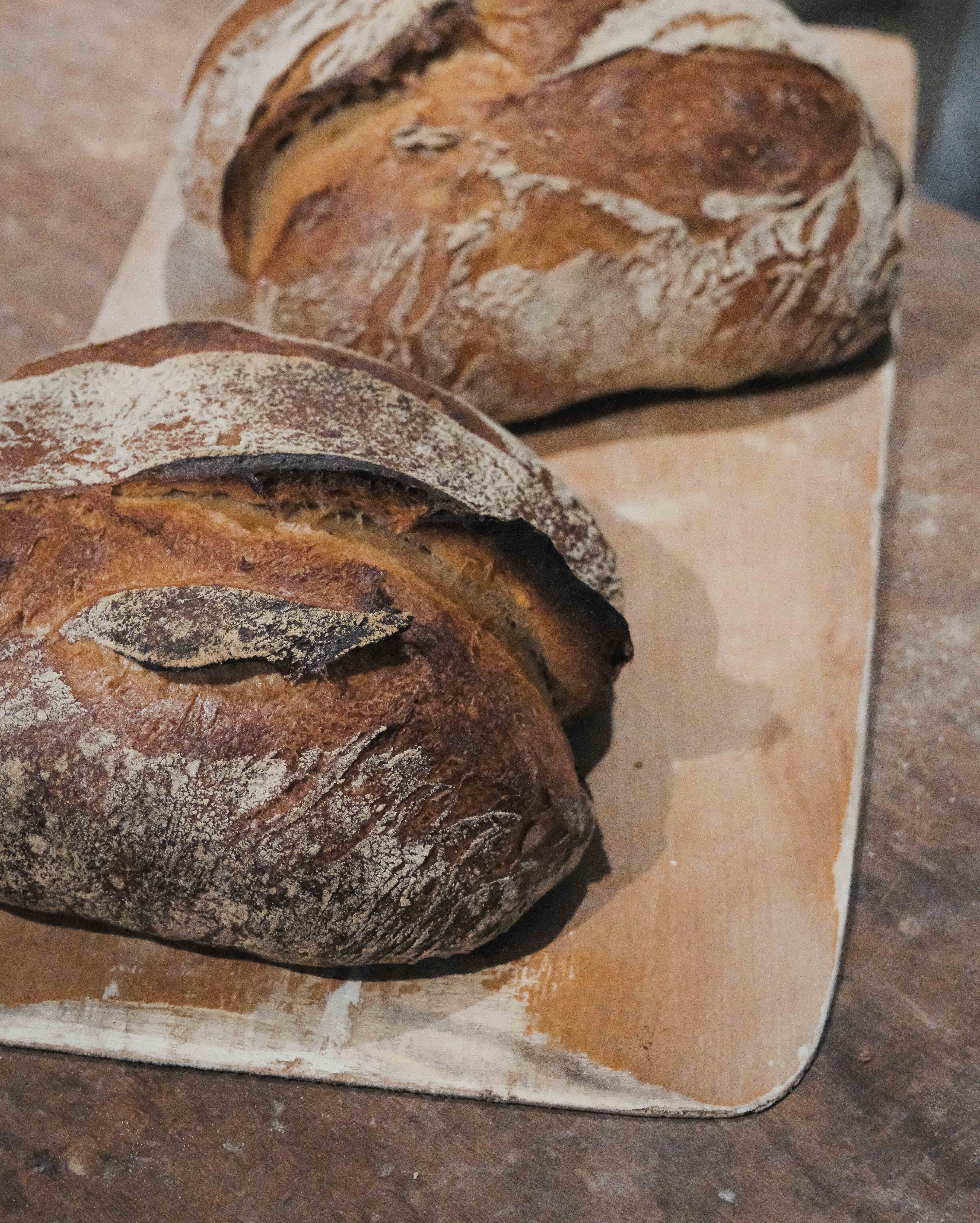 Barthélémy de Mazenod | Boulangerie Secousse