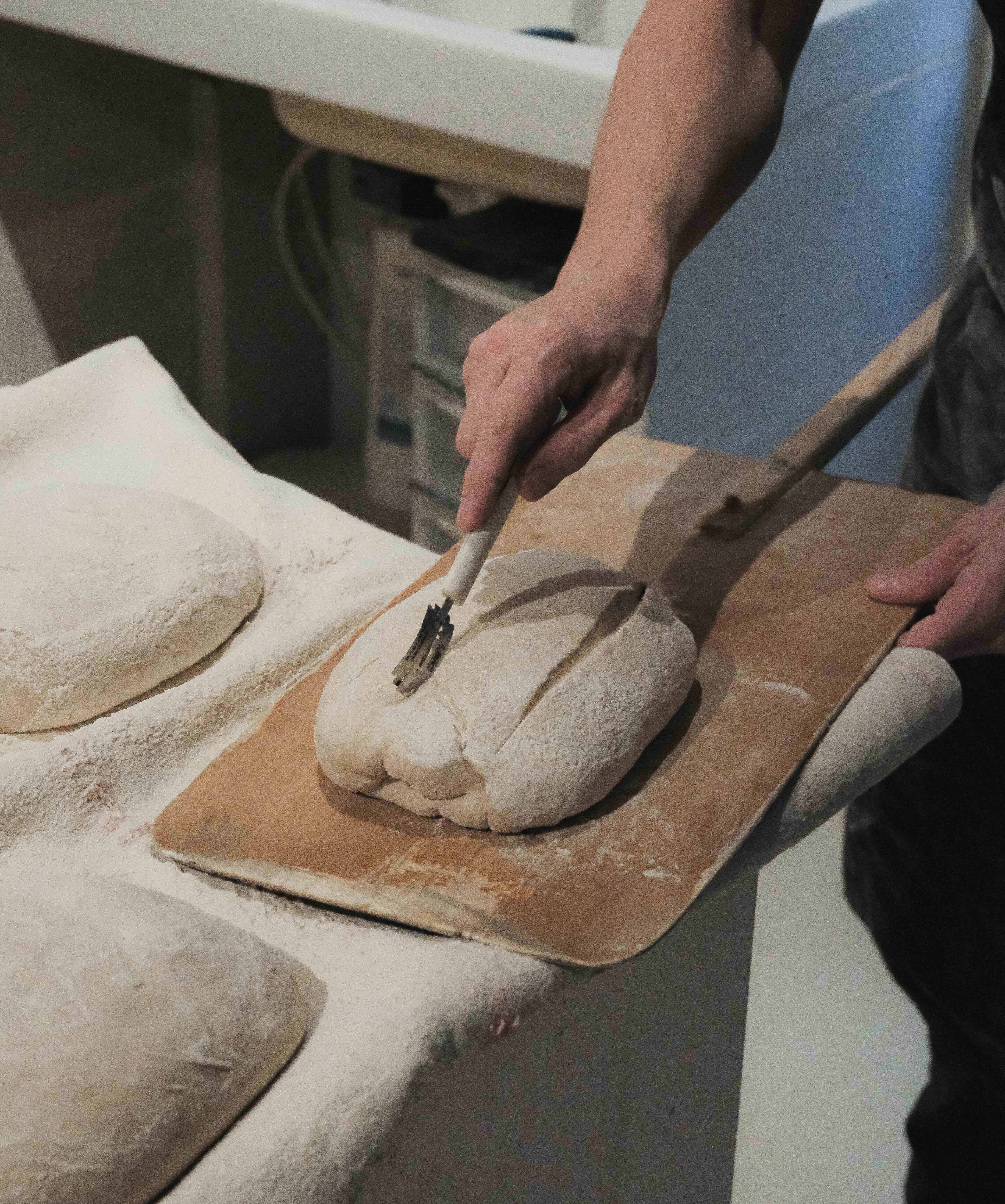 Barthélémy de Mazenod | Boulangerie Secousse